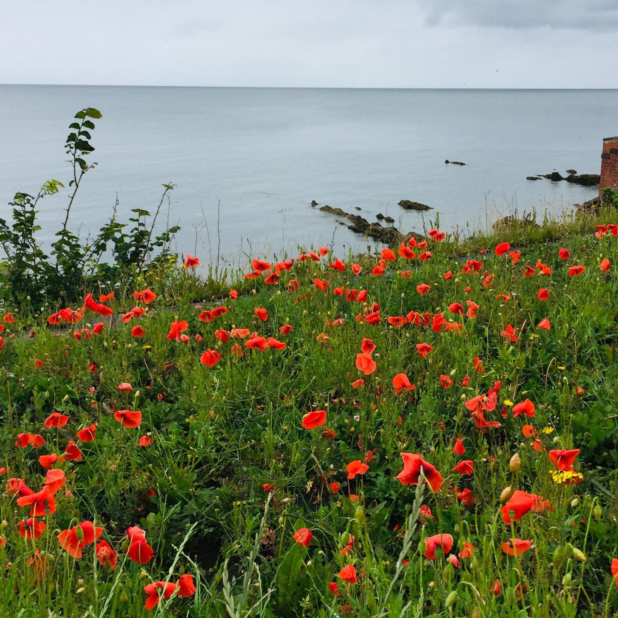 Appartement Loft In Joppa *